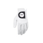 https://www.justinrose.com/wp-content/uploads/2024/01/Players-Glove.jpg